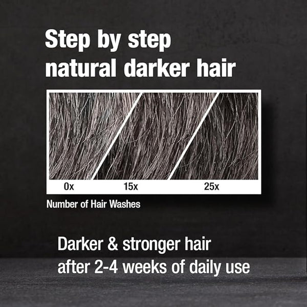 ALPECIN GRAY ATTACK CAFFEINE & COLOR SHAMPOO, 6.76 FL OZ