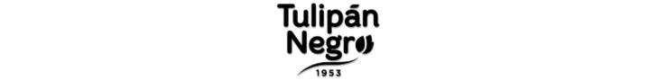Tulipan negro